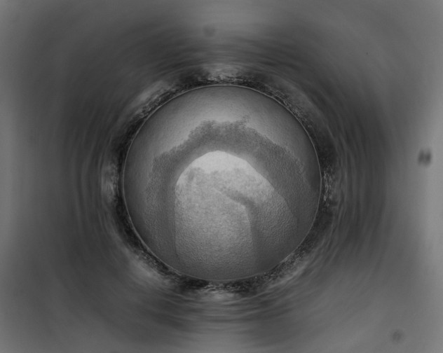 X0000100480648200806201631