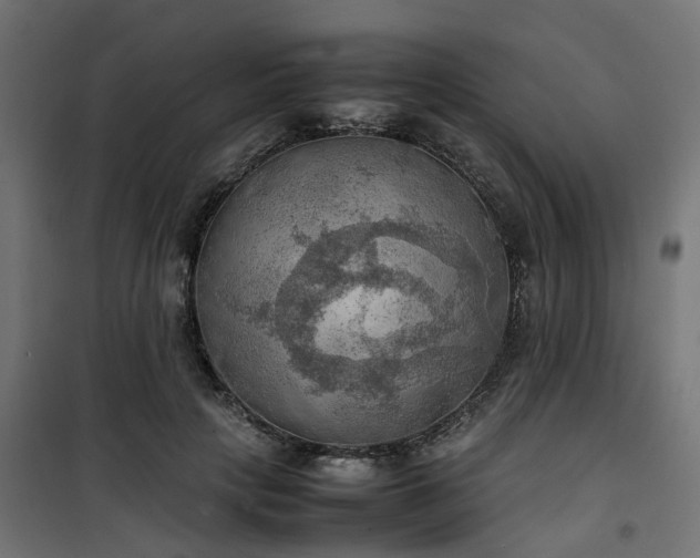 X0000100480649200806201631