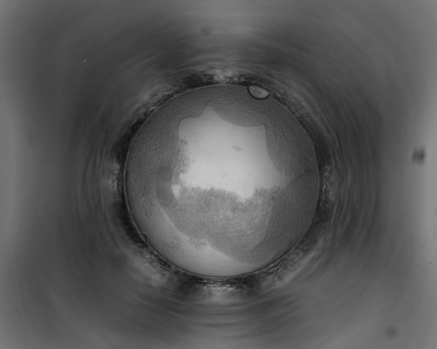 X0000100480650200806201631