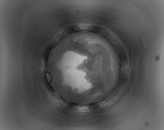 X0000100480651200806201631