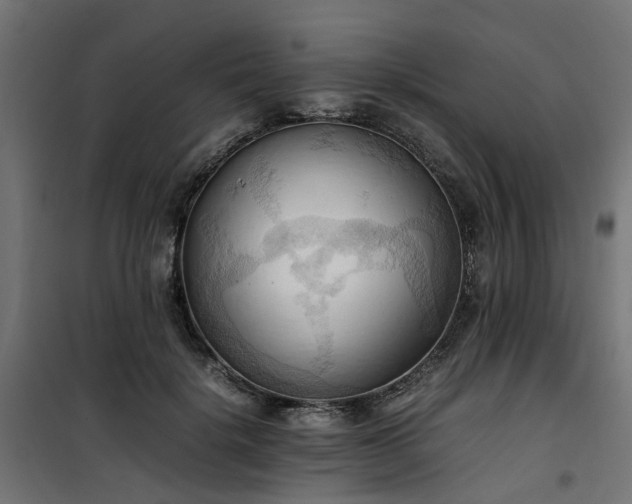 X0000100480652200806201631