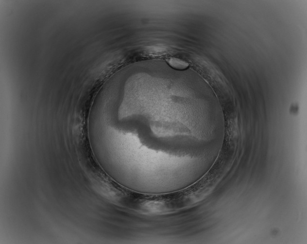 X0000100480653200806201631