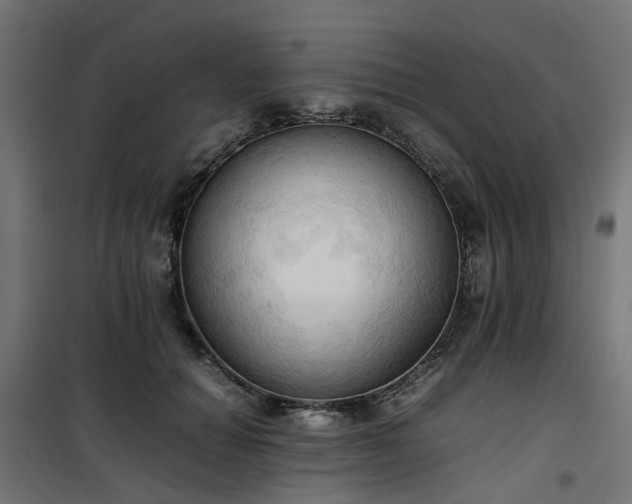 X0000100480654200806201631