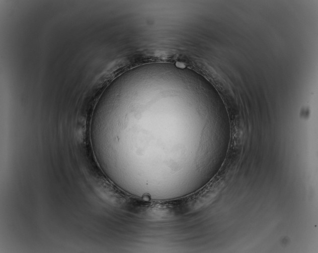 X0000100480656200806201631
