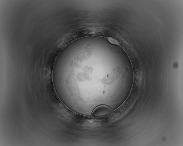 X0000100480657200806201631