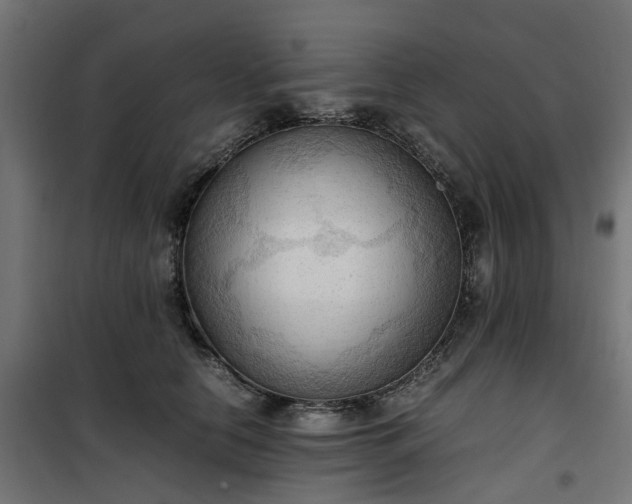 X0000100480658200806201631