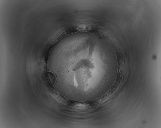 X0000100480659200806201631