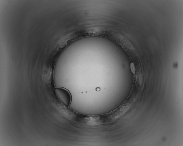 X0000100480660200806201631