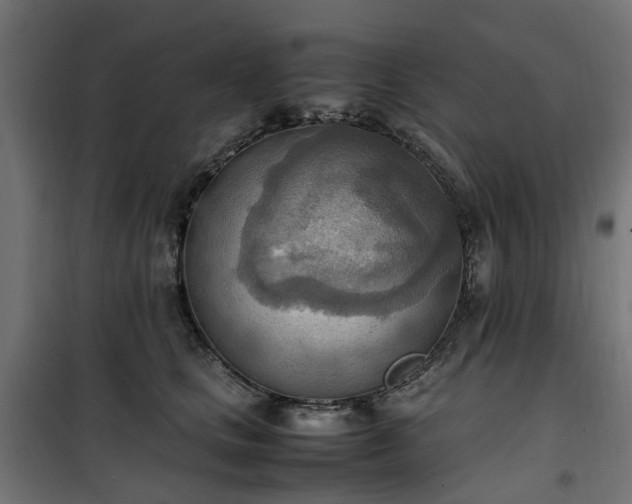 X0000100480661200806201631