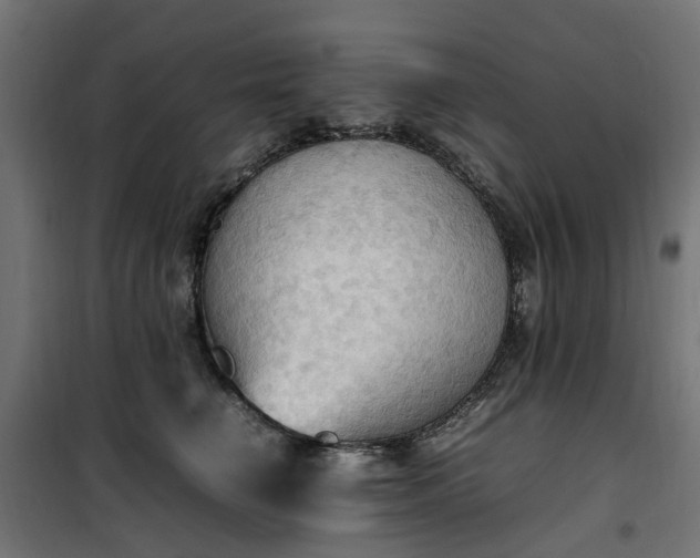 X0000100480662200806201631