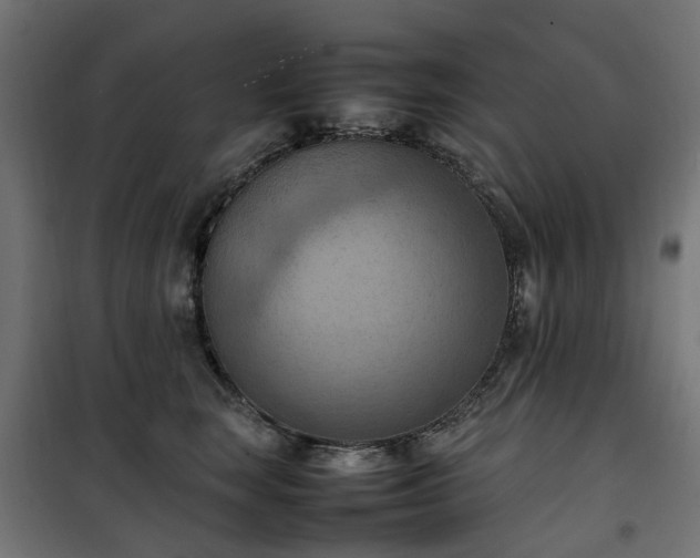 X0000100480663200806201631