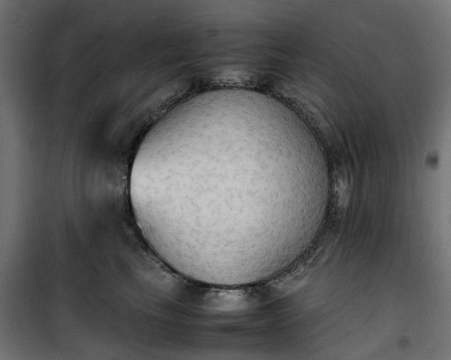 X0000100480665200806201631