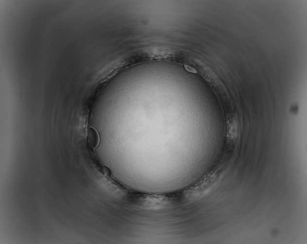 X0000100480666200806201631