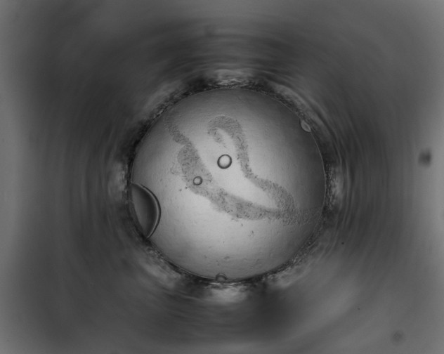 X0000100480667200806201631