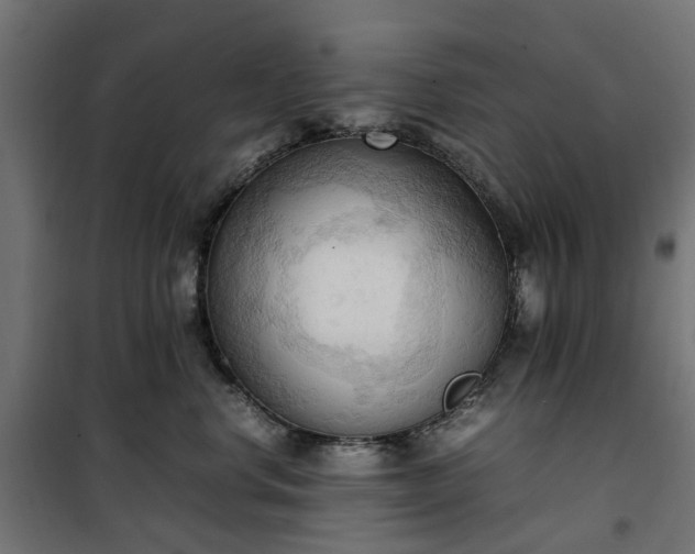 X0000100480668200806201631
