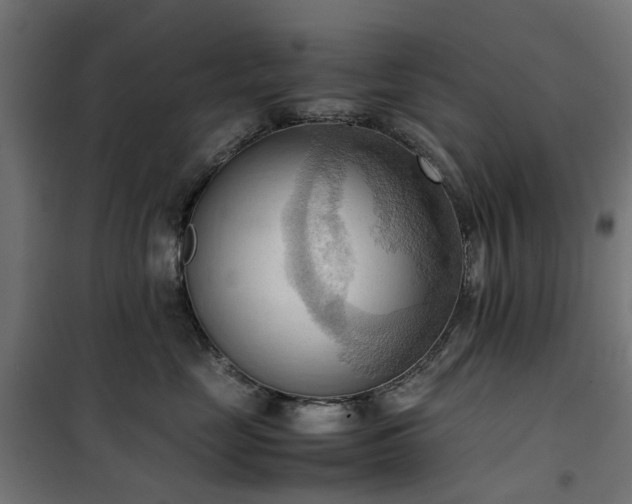 X0000100480669200806201631