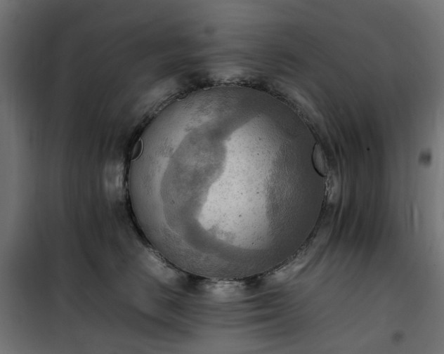 X0000100480670200806201631