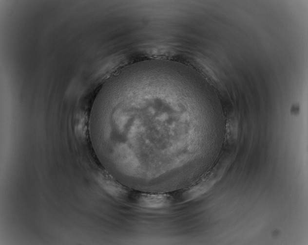 X0000100480671200806201631