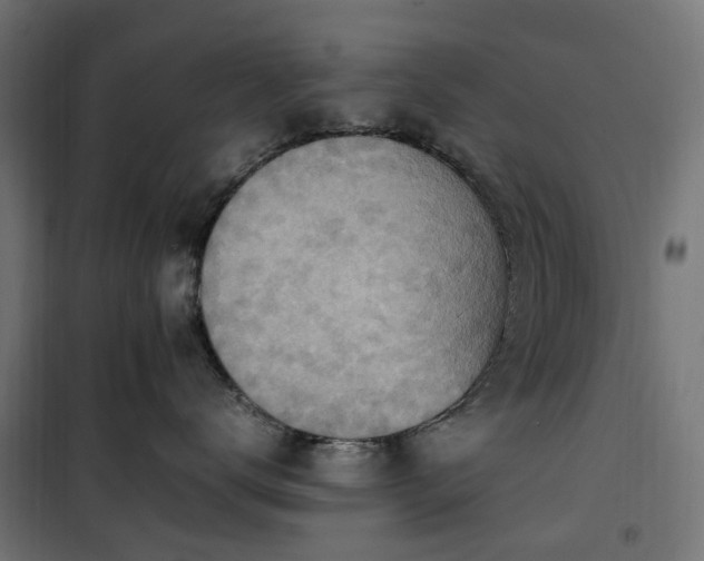 X0000100480672200806201631