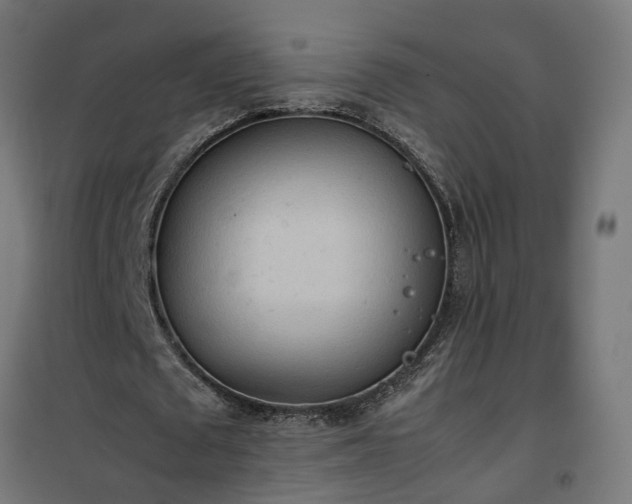 X0000100480673200806201630