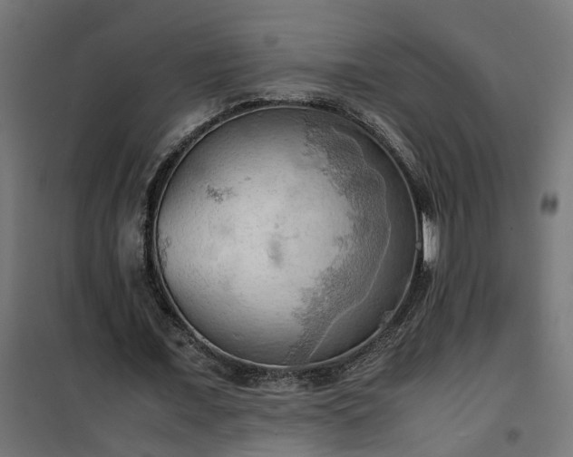 X0000100480675200806201630