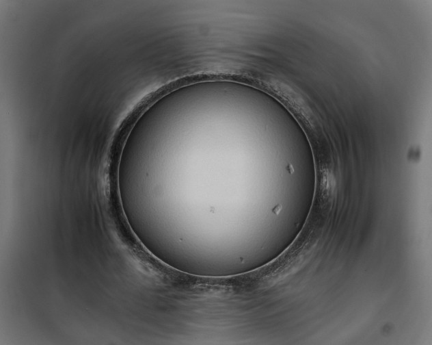 X0000100480676200806201630