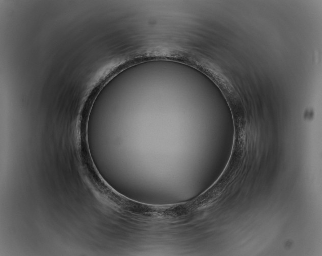 X0000100480678200806201630