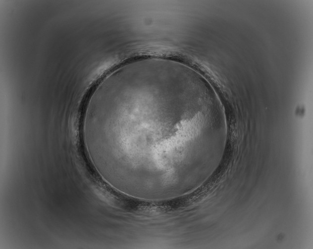X0000100480679200806201630