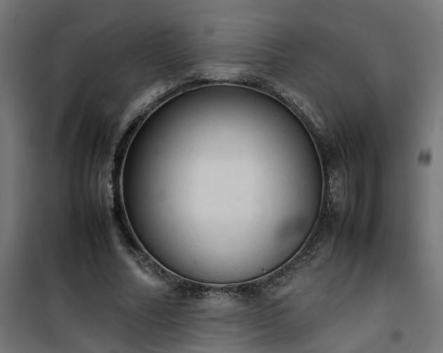 X0000100480682200806201630