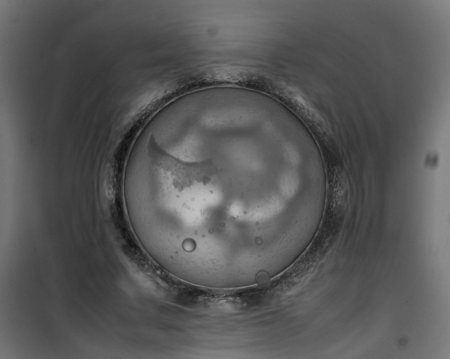 X0000100480683200806201630
