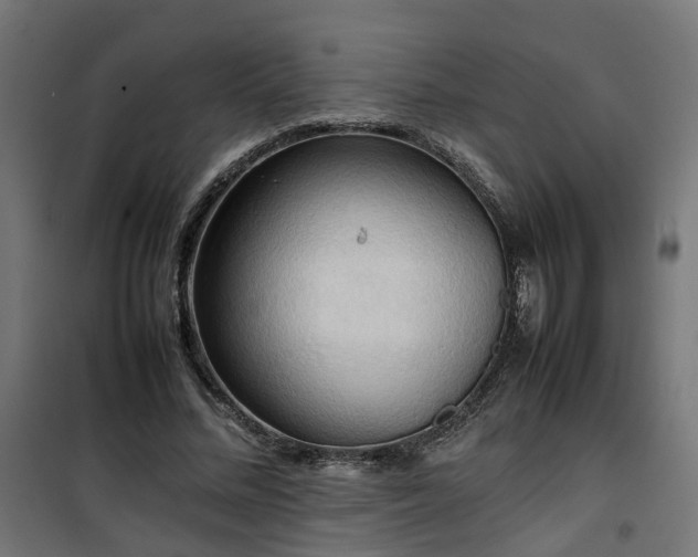 X0000100480684200806201630