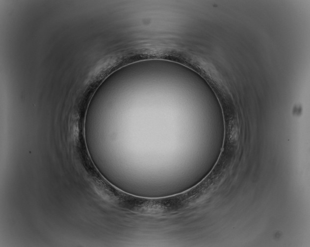 X0000100480685200806201630