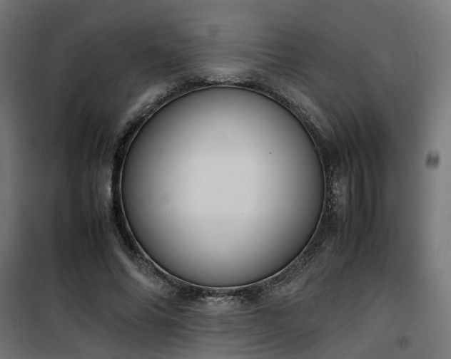 X0000100480686200806201630