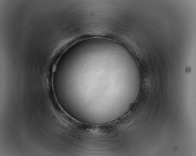X0000100480688200806201630