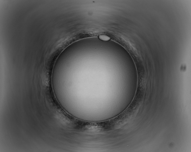 X0000100480689200806201630