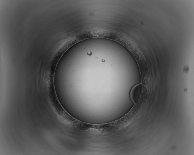 X0000100480690200806201630