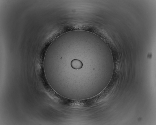 X0000100480691200806201630