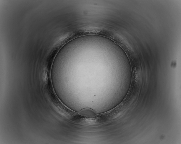 X0000100480692200806201630