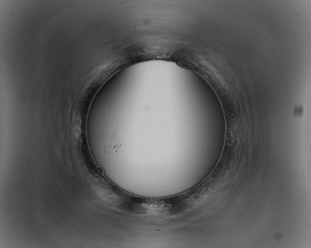 X0000100480693200806201630
