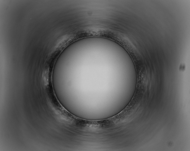 X0000100480694200806201630