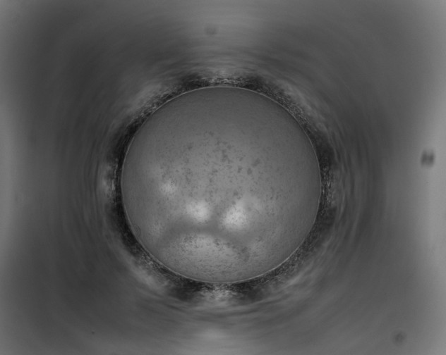 X0000100480695200806201630