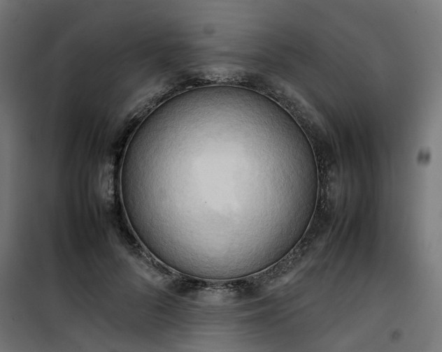 X0000100480696200806201630