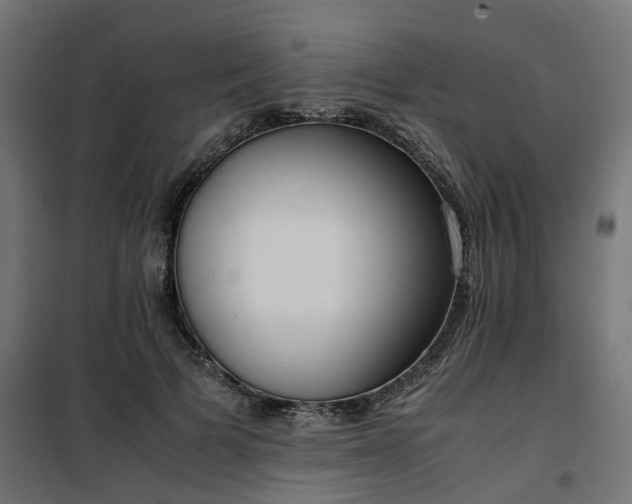 X0000100480697200806201630