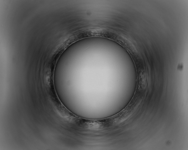 X0000100480698200806201630