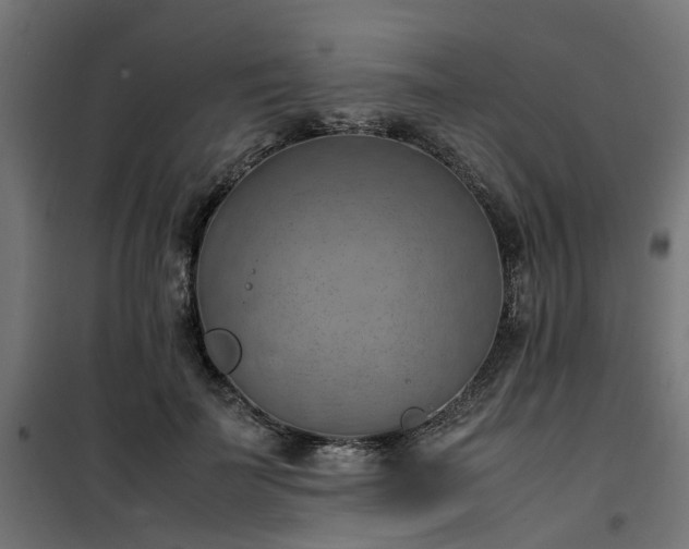 X0000100480699200806201630