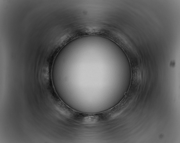 X0000100480700200806201630