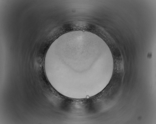 X0000100480701200806201630