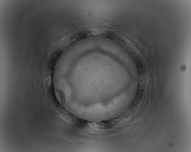 X0000100480703200806201630