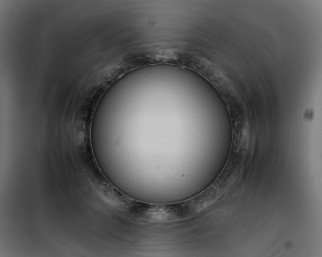 X0000100480704200806201630