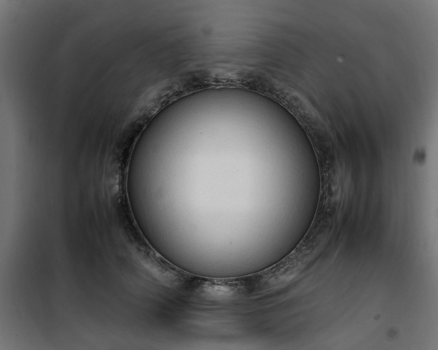 X0000100480706200806201630